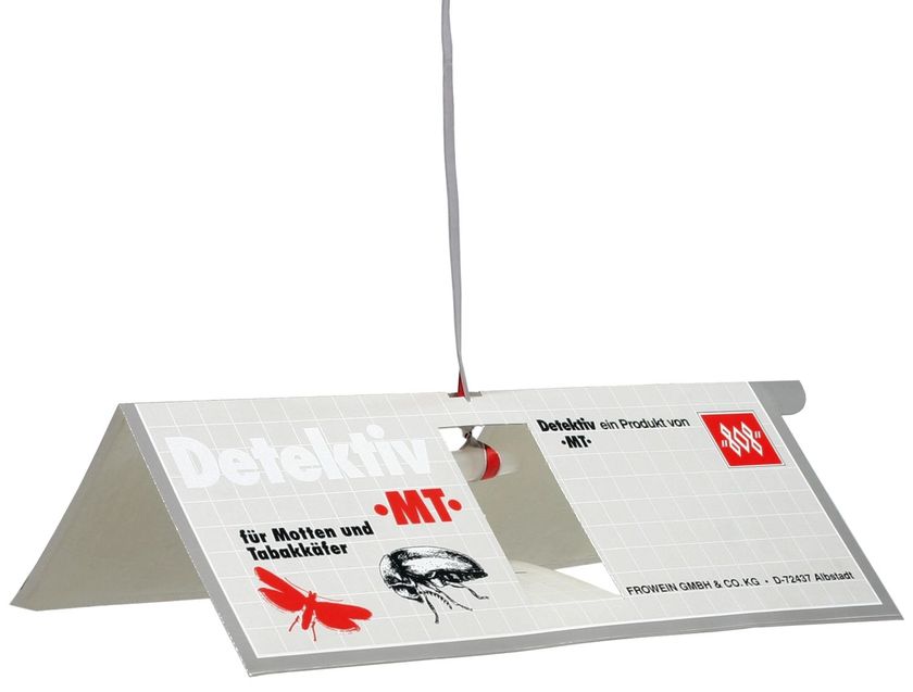 Detektiv -MT- 100er Pack