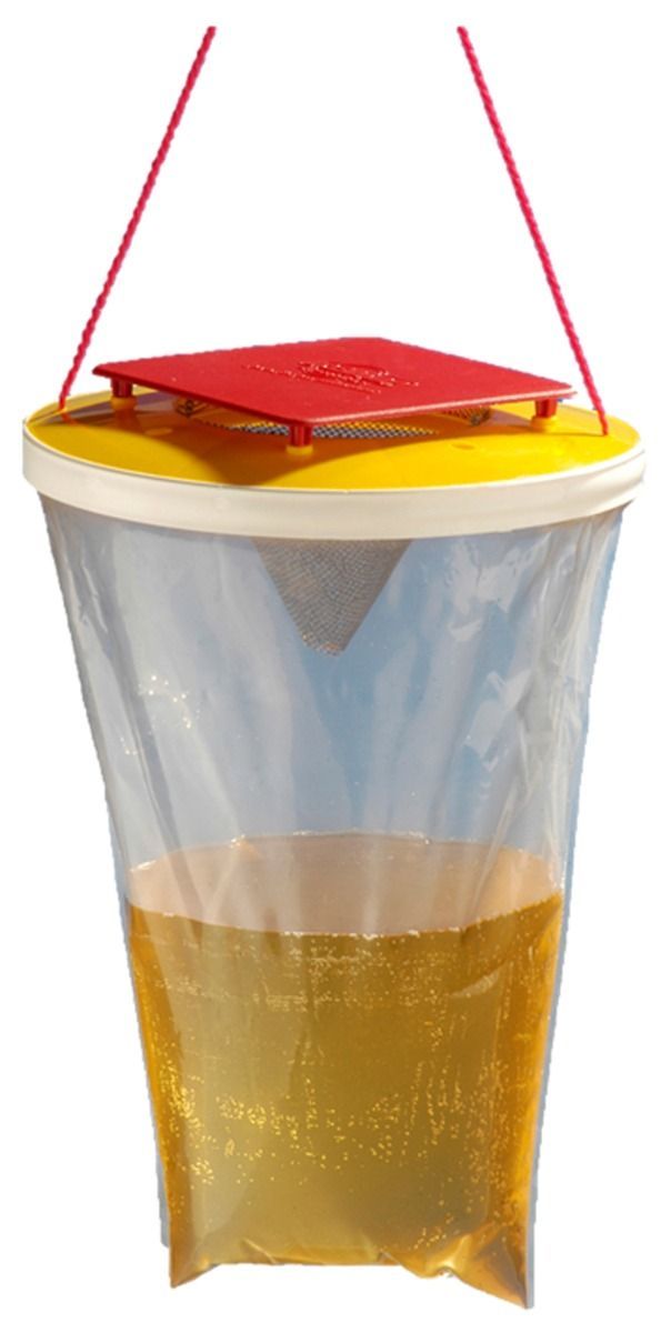 REDTOP Wespenfalle