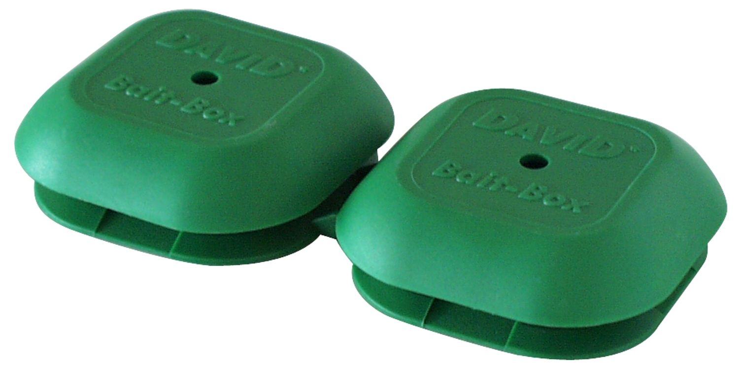 David® Leerköderboxen grün (Ameisen)