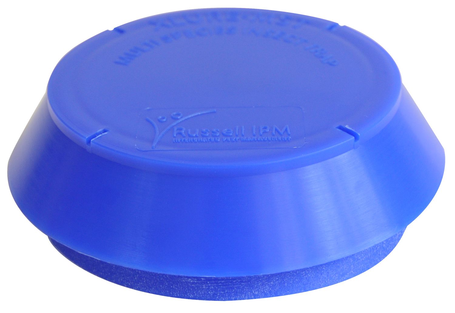 Käferfalle MST - SAFESTORE blue-line