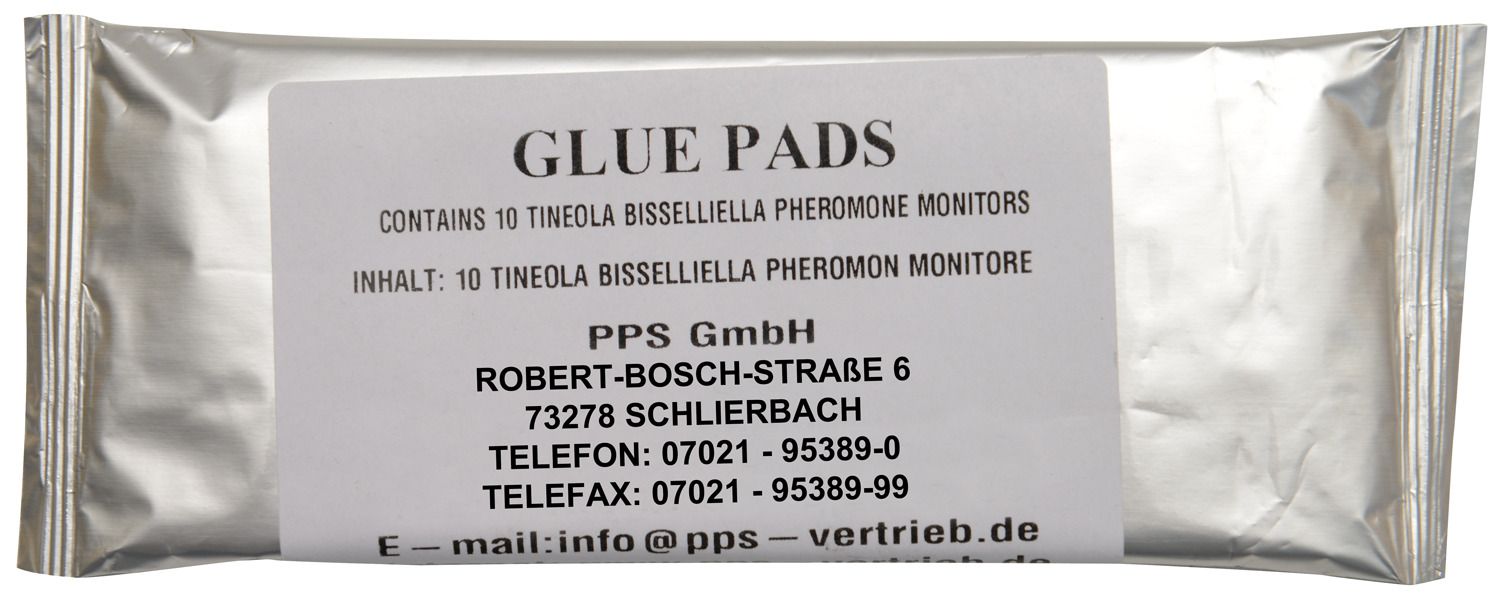 Klebeboden tineola bisselliella - Set mit 100 Stück