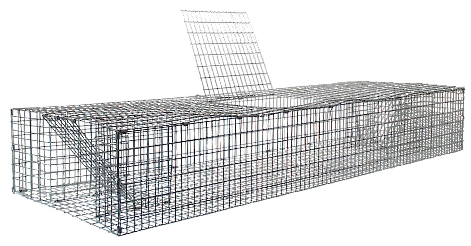 Bisam Reusenfalle (Drahtkastenfalle)