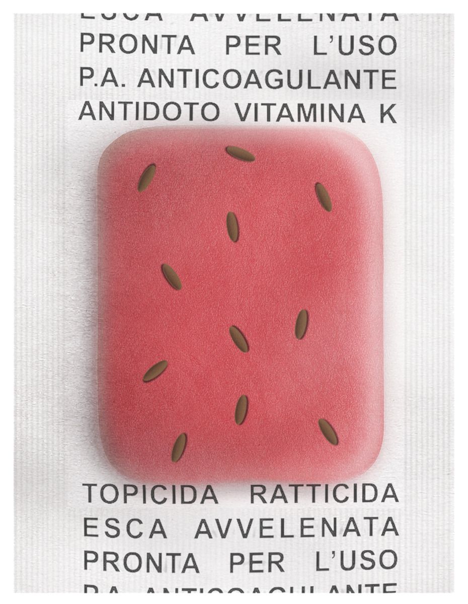 Murin forte pasta 12,5 g