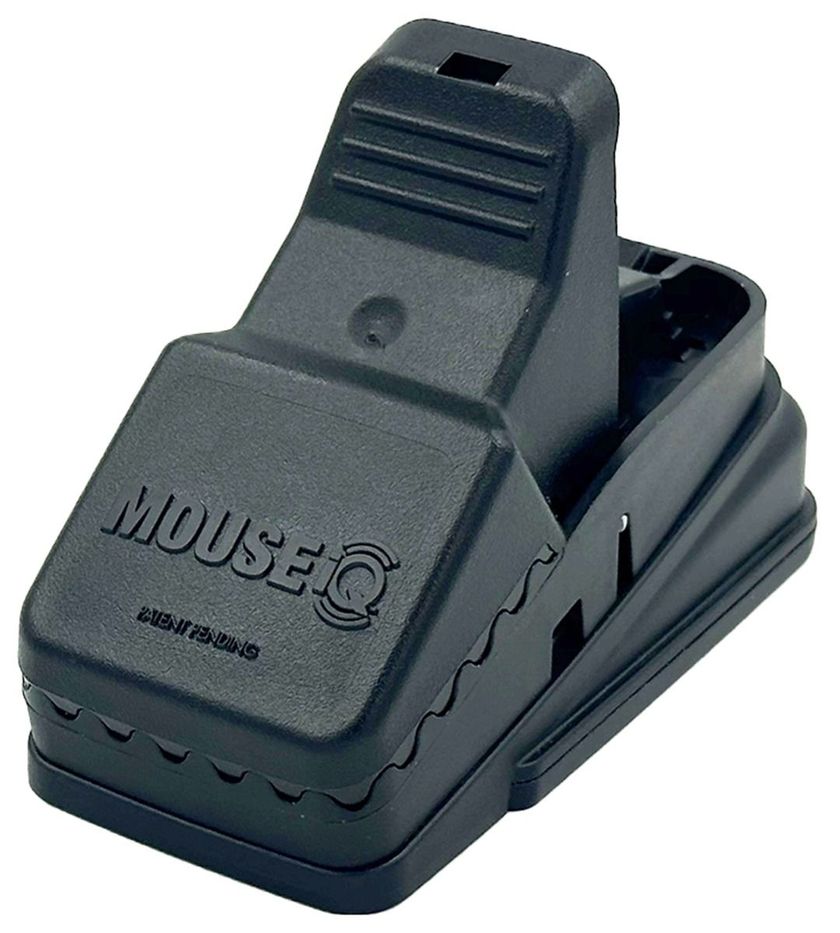 IQ Mouse Traps