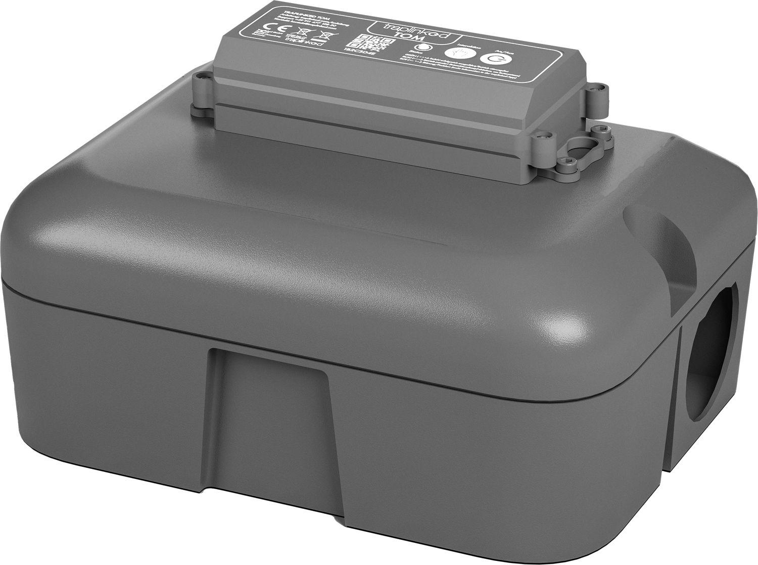 TOM nagtag® Ratte