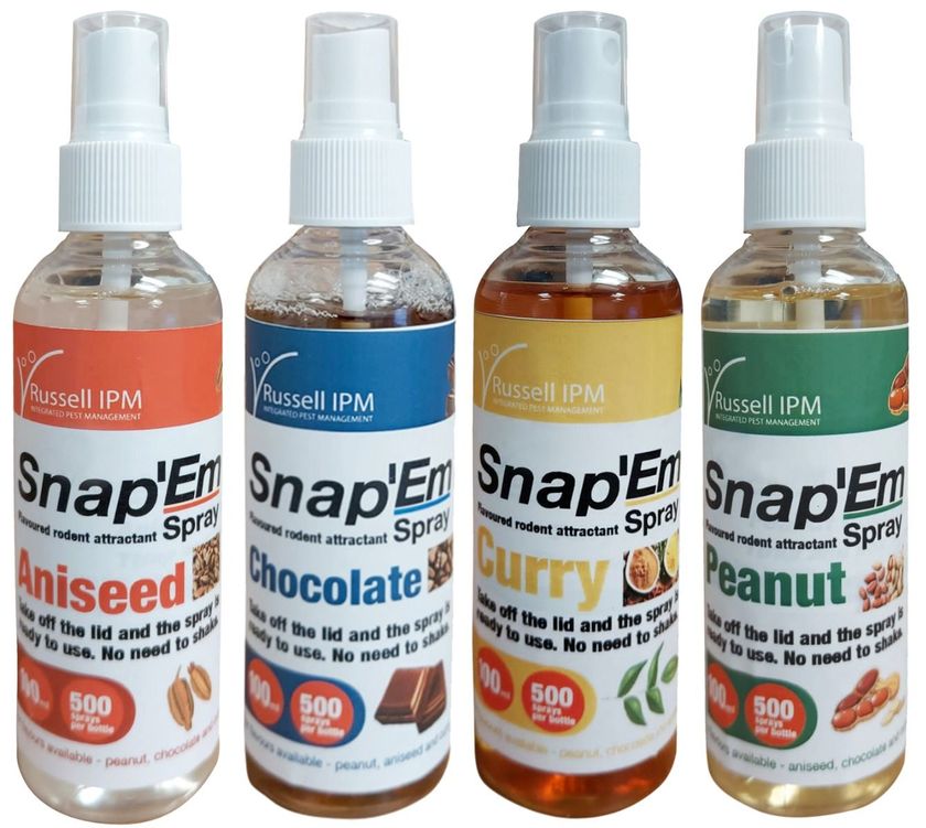 Snap’Em Spray 100 ml Zerstäuberflasche | verschiedene Aromen