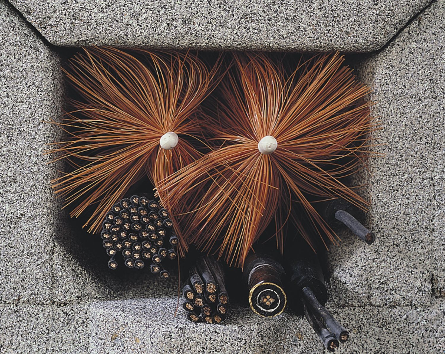 Rodent BrushTM