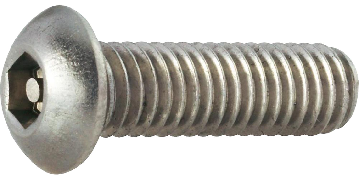 Sicherheitsschraube Innensechskant mit Pin M6x10