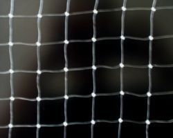 Netz, Nylon, Transparent, 30 mm Masche, 0,4 mm