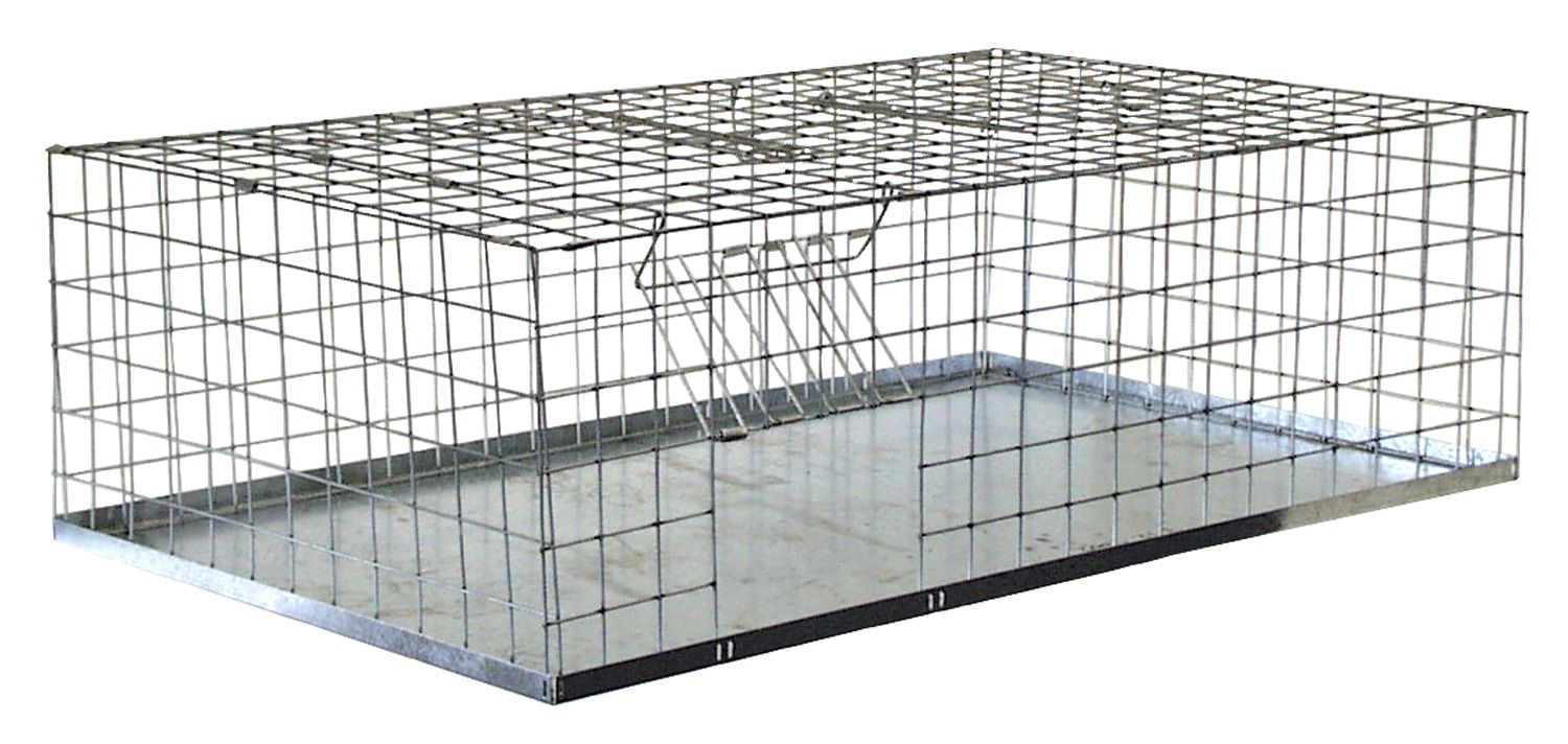 Lebendfalle Taube NW-MK4