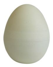 PVC-Nesteier