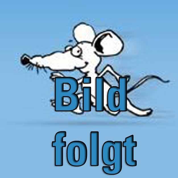 systainer® T-LOC Fachteiler 120 mm lichtgrau