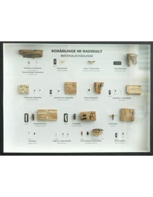 Schaukasten: Schädlinge im Haushalt - Material-