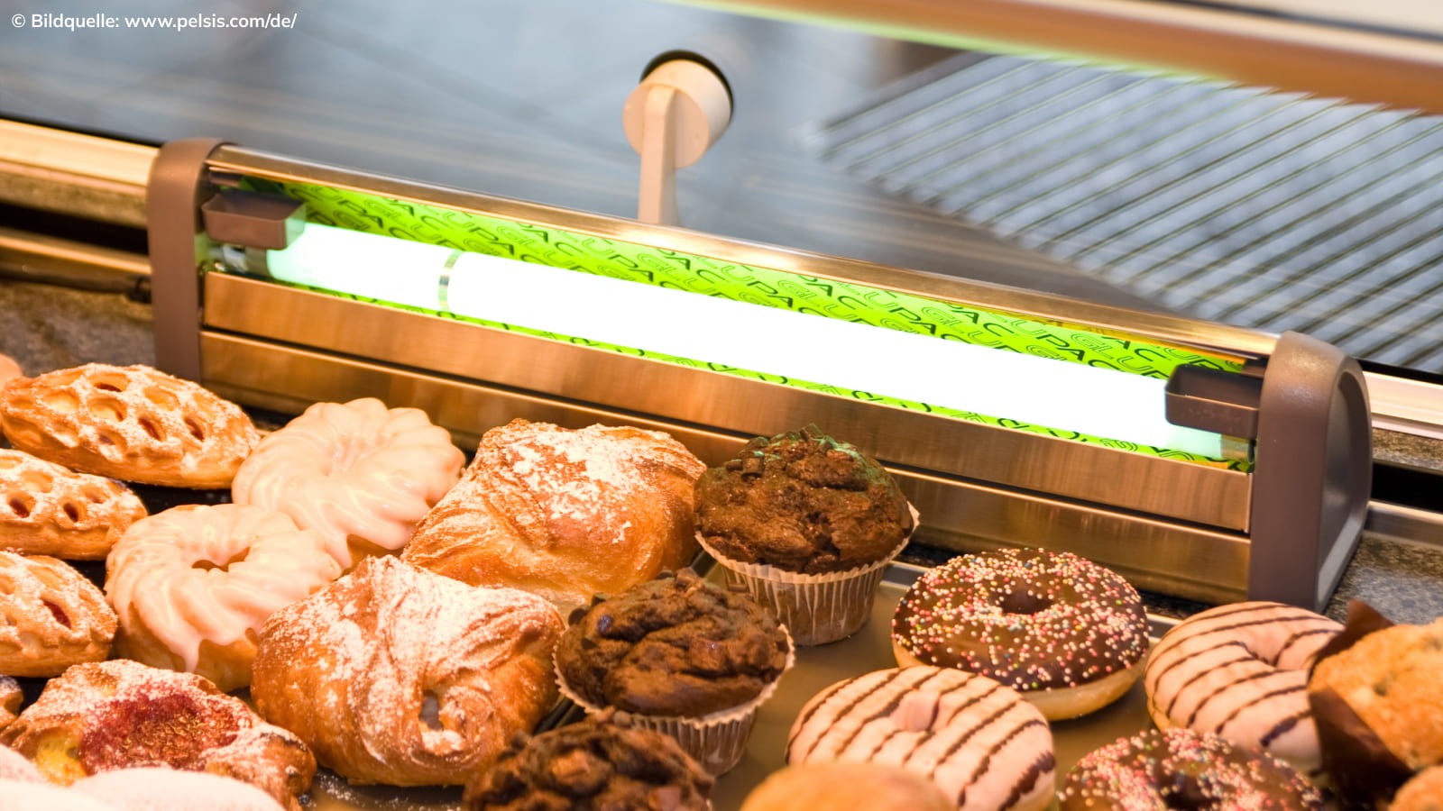 Diskretes UV-Gerät mit Klebefolie zur Insektenbekämpfung an einer Bäckerei Verkaufstheke