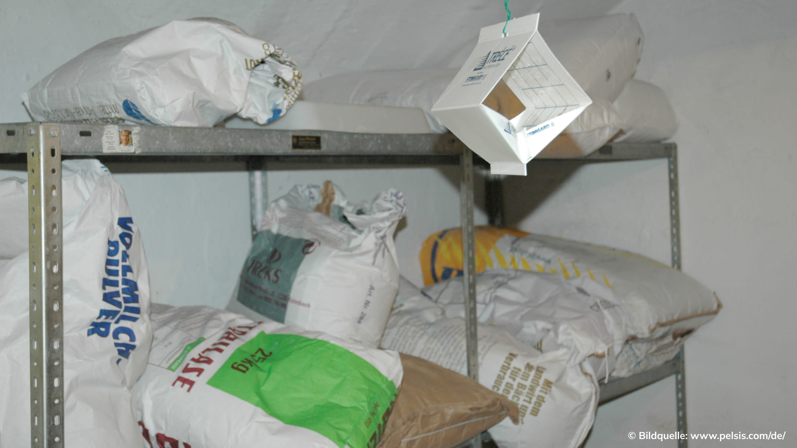 Mottenfalle hängt von der Decke vor einem Regal mit Mehlsäcken