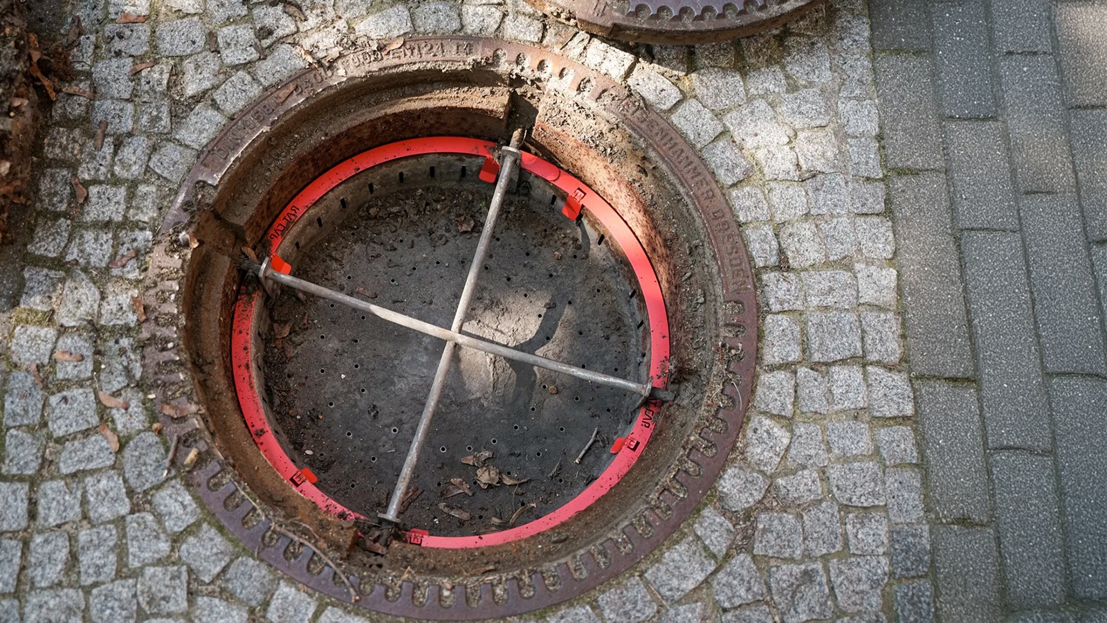 Geöffneter Gullideckel mit eingesetzter Kanalabdichtung versperrt Ratten den Weg nach draußen
